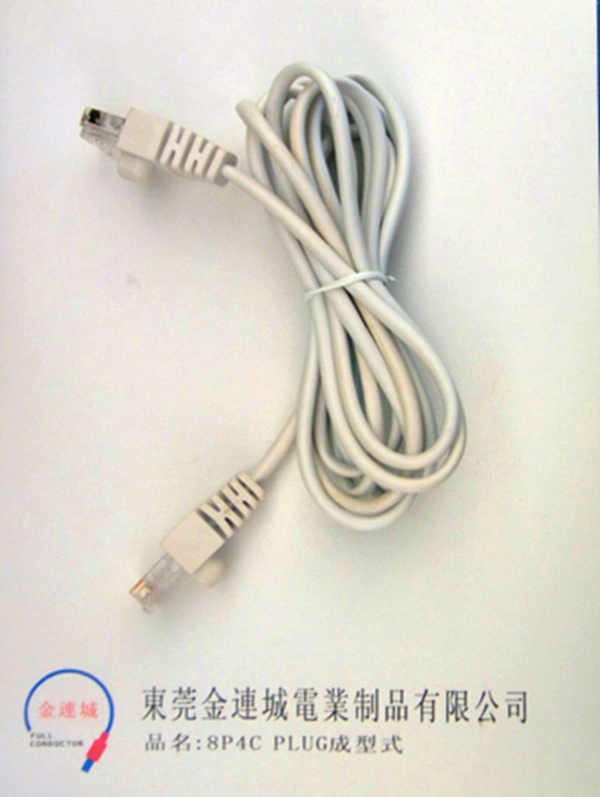 8P4C PLUG成型式.jpg